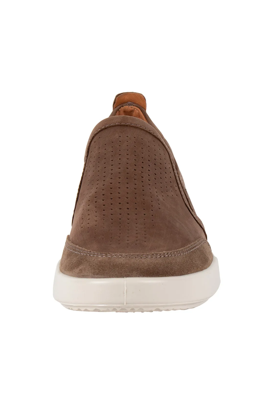 ECCO Collin 2.0 Sneaker Birch