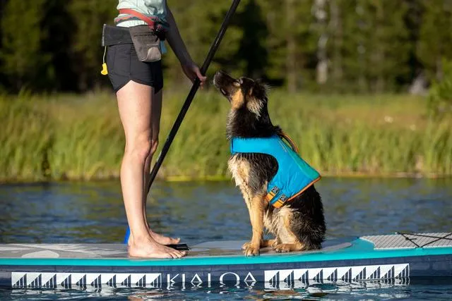 Float Coat Dog Life Jacket