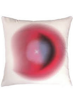 Java Sparrow Velvet Cushion