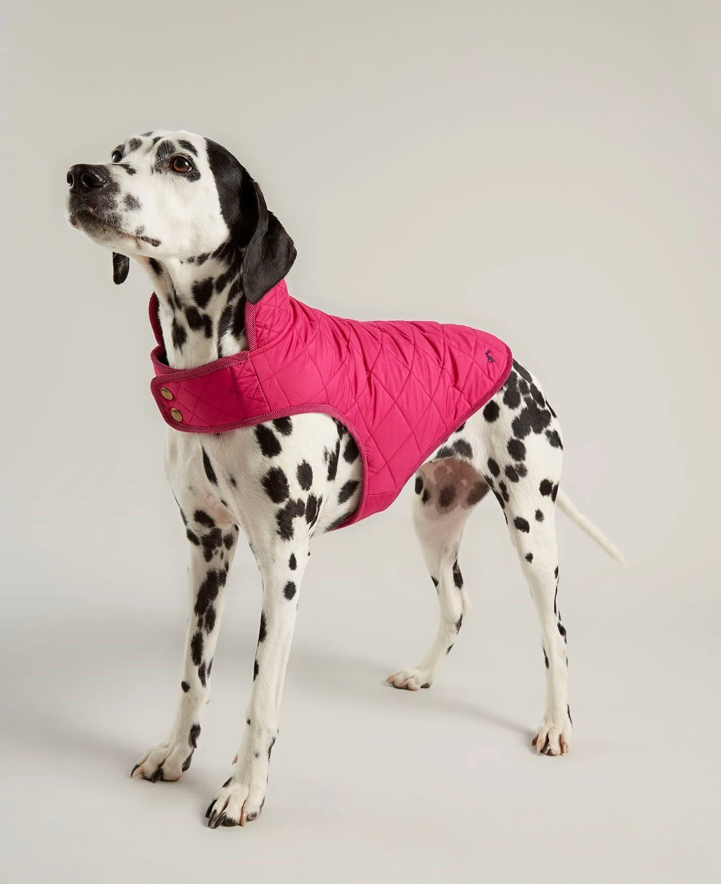 Joules Quilted Dog Coat