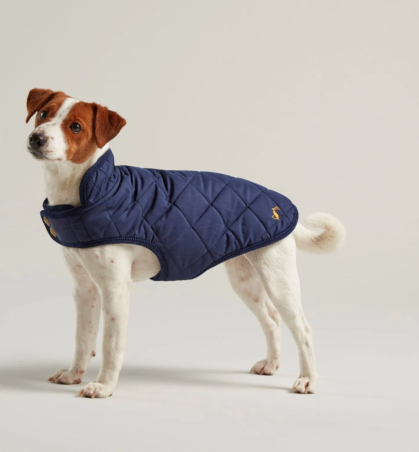 Joules Quilted Dog Coat